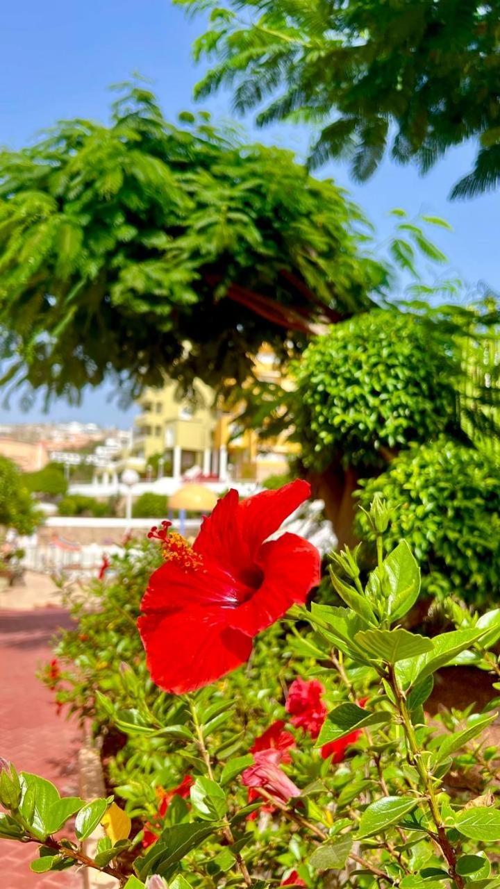 Cozy Two Bed Apartment. Costa Adeje  Exterior foto